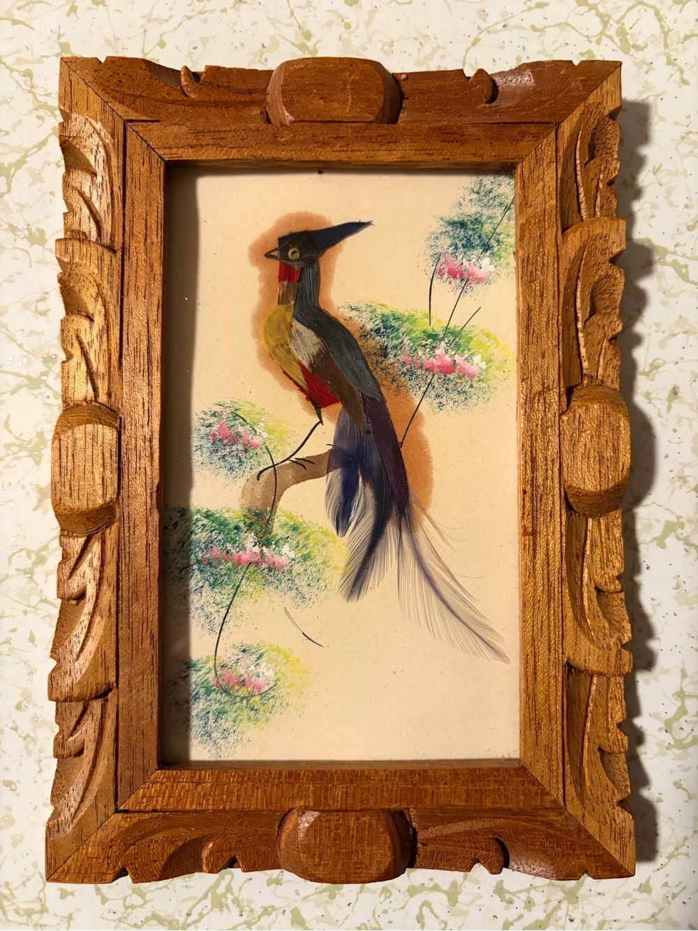 Vintage Mexican Folk Art Feather Craft Bird Picture Carved Frame MCM 5x7